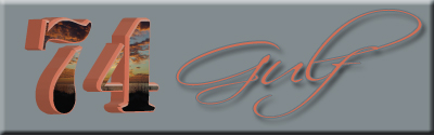 Embedded (Top) banner
